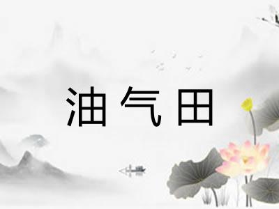 油气田 油气田