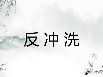 反冲洗