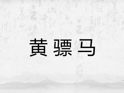 黄骠马 黄骠马
