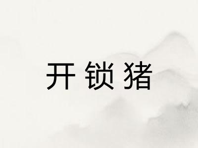 开锁猪 开锁猪