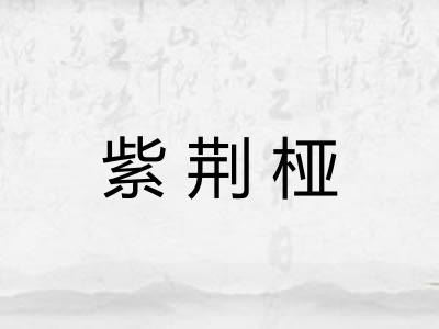 紫荆桠 紫荆桠