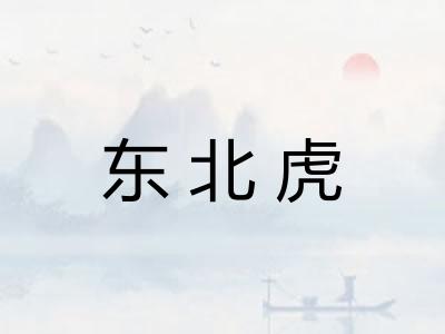 东北虎 东北虎