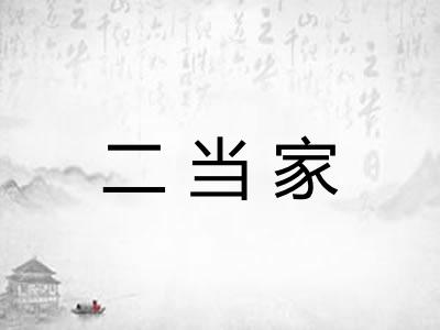 二当家 二当家