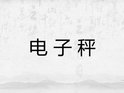 电子秤 电子秤