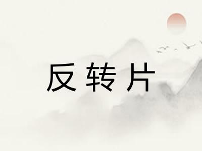 反转片
