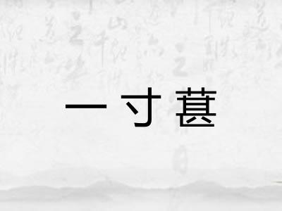 一寸葚 一寸葚