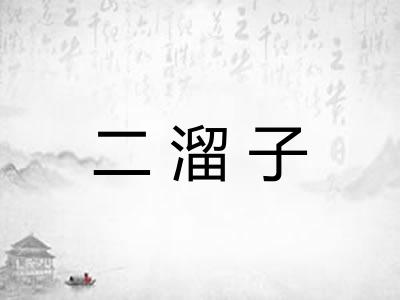 二溜子 二溜子