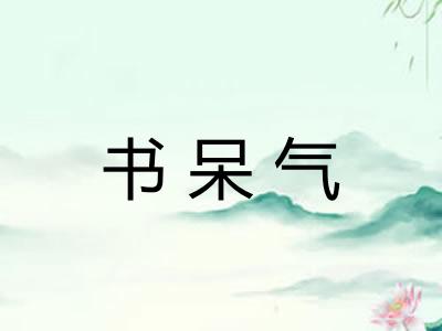 书呆气
