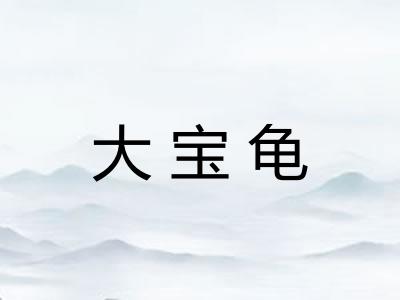 大宝龟 大宝龟