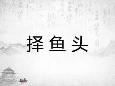 择鱼头