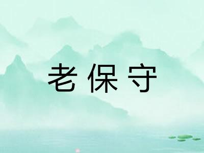 老保守 老保守