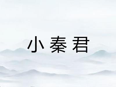 小秦君 小秦君