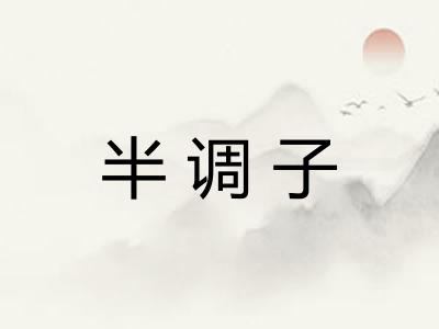 半调子 半调子
