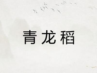 青龙稻