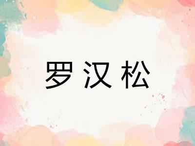 罗汉松 罗汉松
