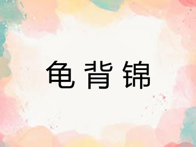 龟背锦 龟背锦