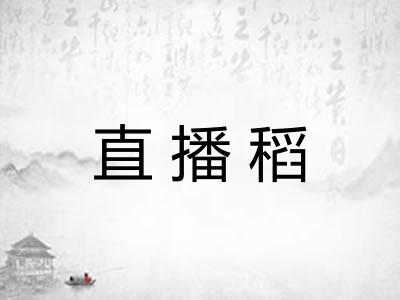 直播稻