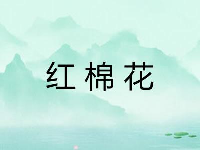 红棉花 红棉花