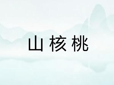 山核桃 山核桃