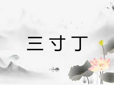 三寸丁 三寸丁