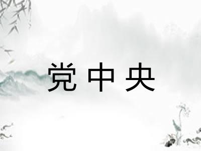 党中央