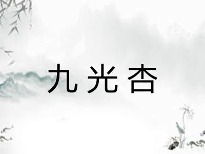 九光杏
