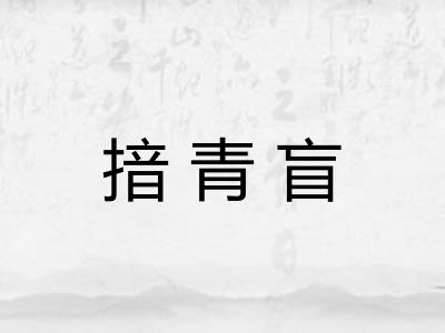 揞青盲 揞青盲
