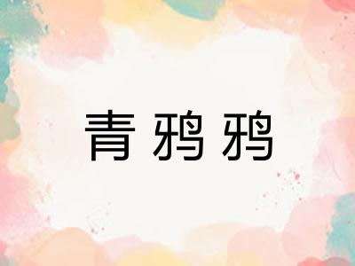 青鸦鸦 青鸦鸦