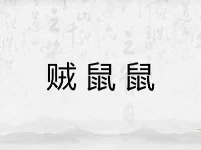 贼鼠鼠 贼鼠鼠