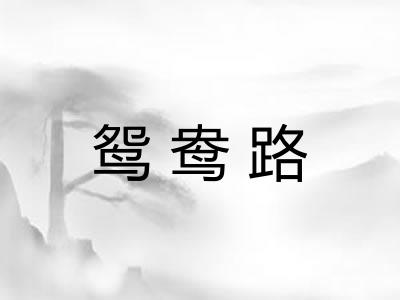 鸳鸯路 鸳鸯路