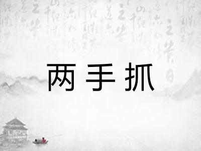 两手抓 两手抓