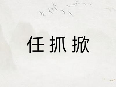任抓掀 任抓掀