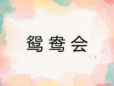 鸳鸯会 鸳鸯会