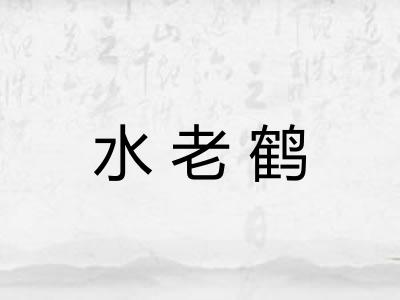 水老鹤 水老鹤