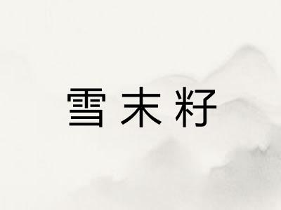 雪末籽 雪末籽