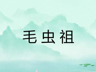 毛虫祖 毛虫祖