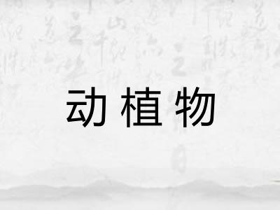 动植物 动植物