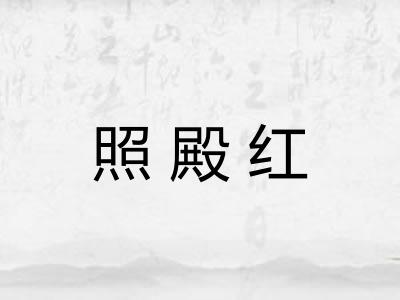 照殿红 照殿红