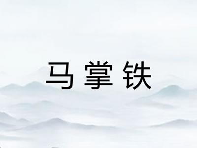 马掌铁 马掌铁