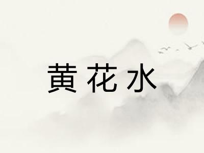 黄花水 黄花水