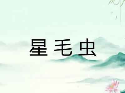 星毛虫 星毛虫