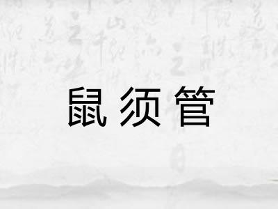 鼠须管 鼠须管