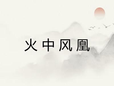 火中风凰 火中风凰