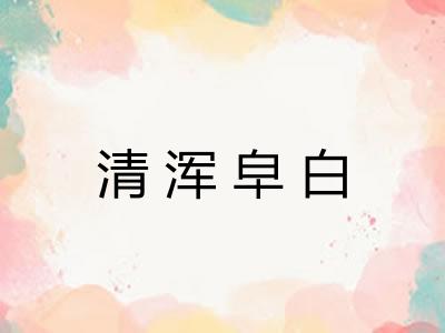 清浑皁白 清浑皁白