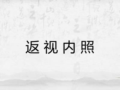 返视内照