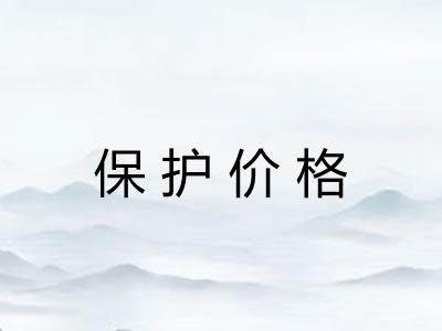 保护价格 保护价格