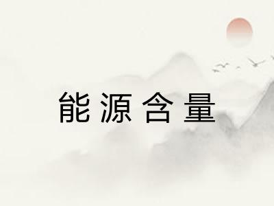 能源含量 能源含量