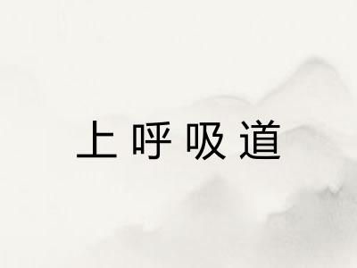 上呼吸道 上呼吸道