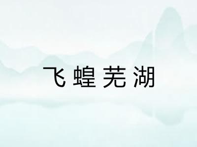 飞蝗芜湖 飞蝗芜湖