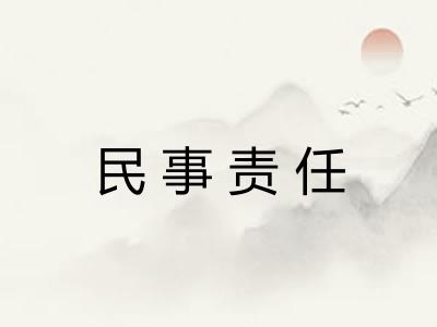 民事责任 民事责任